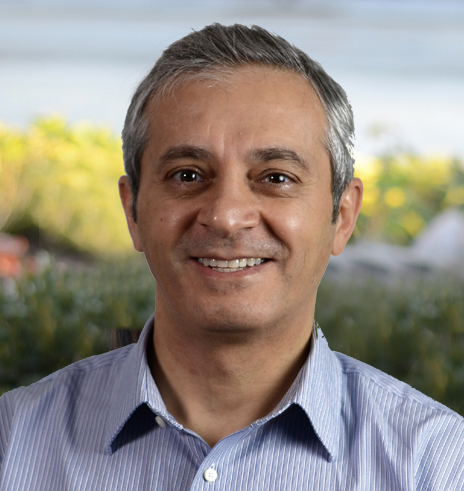 Dr Elia