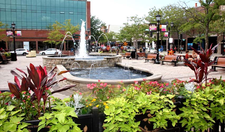 Top 11 Places to Visit in Elmhurst Kopp Dental & Associates